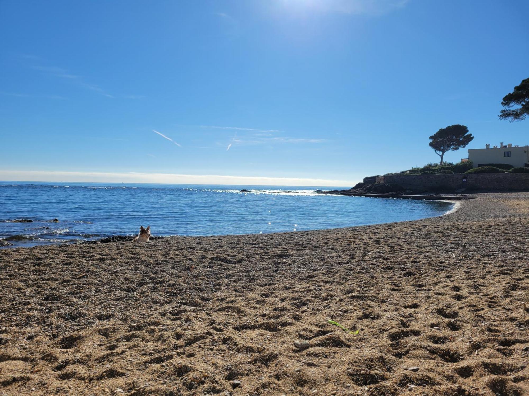 Appartement La Tranquillite, 2Mn A Pieds Mer Fréjus المظهر الخارجي الصورة
